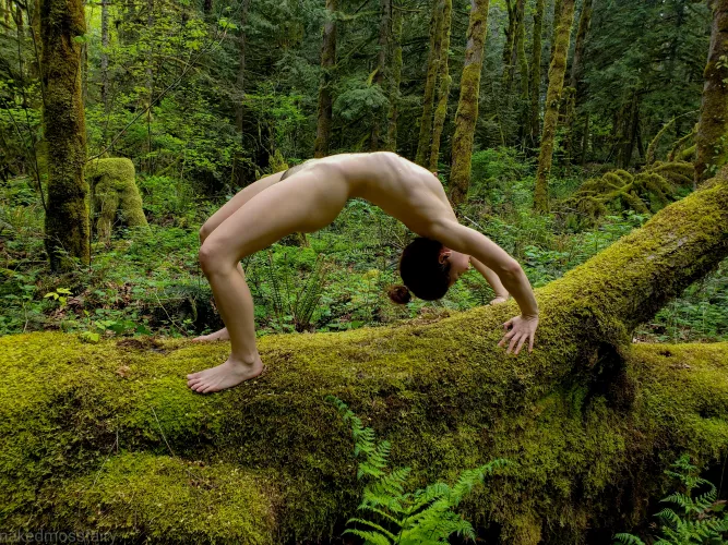 Backbend on a mossy log🌿 by NakedMossFairy
