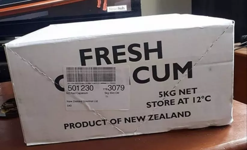 Bad Dragon:'We have discreet packaging' Also Bad Dragon: by KimMinarii