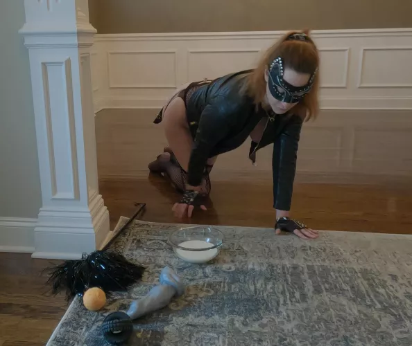 Bad kitty and her toys by josiepcat