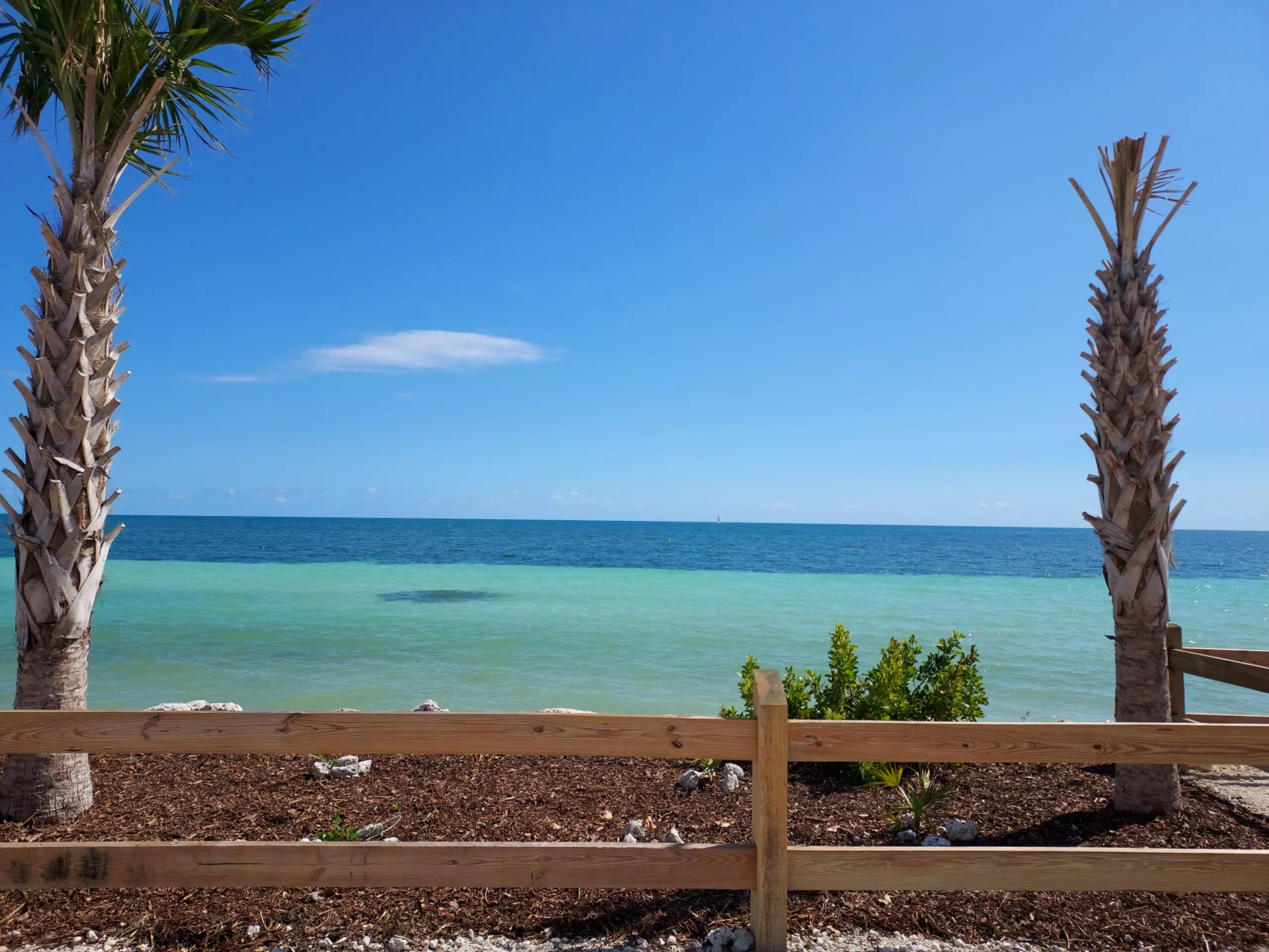 Bahia Honda Key posted by taRabiRd0