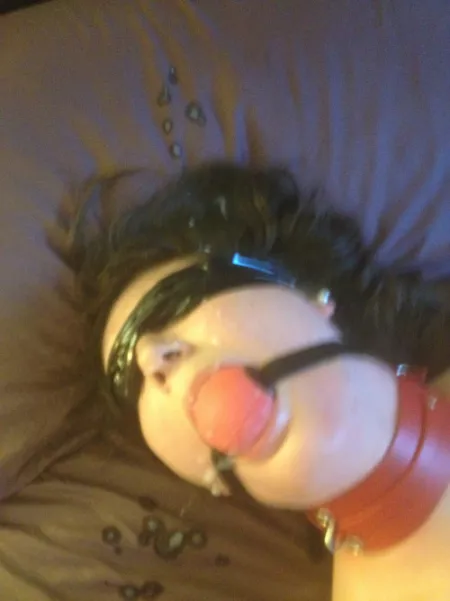 Ballgagged and collared amateur splattered with cum by PM_ME_UR_CUTE_SHOES