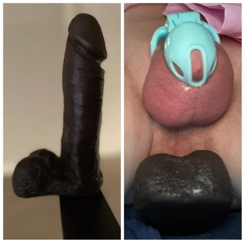 Balls deep on this cock for my first post here. Wish it was a real cock… by umcultssissy
