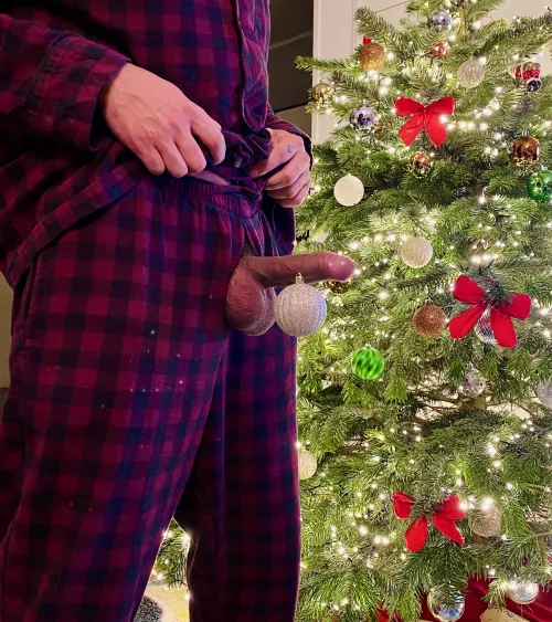 Balls of Holly 🎄2021 by Natural_University45