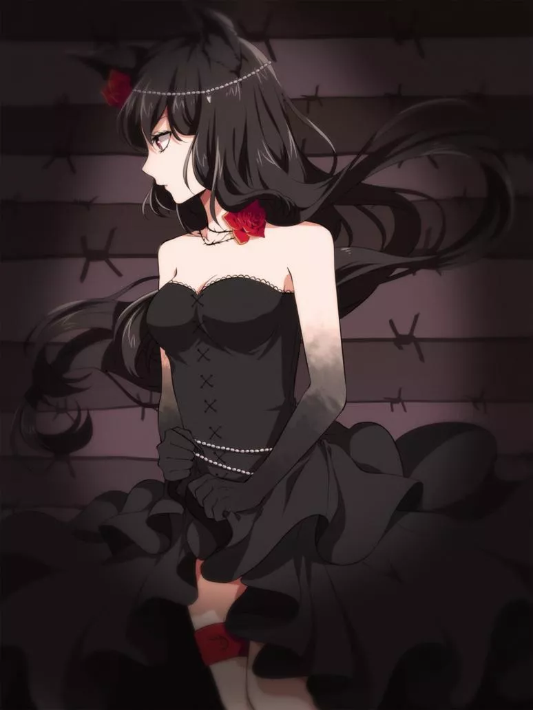 Barbed and beautiful posted by Dhova