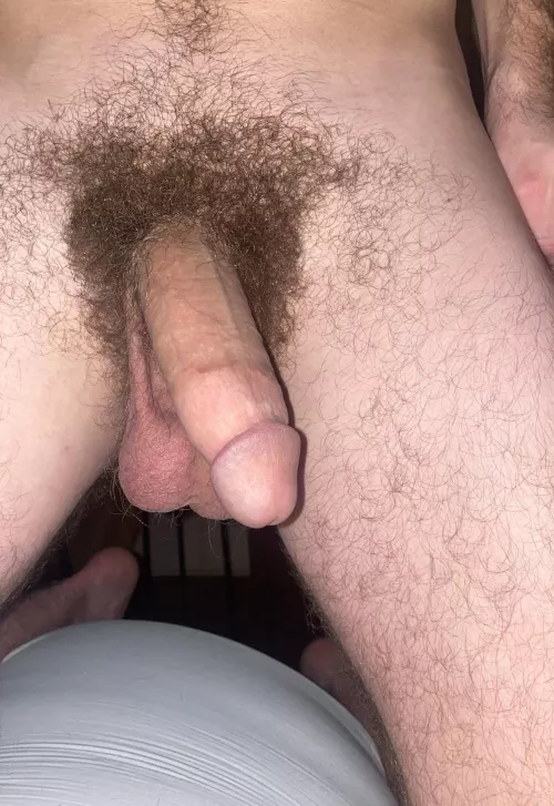 Barely semi hard by 2bibros