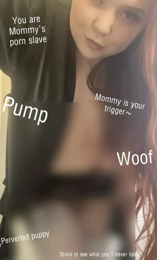 Bark posted by ChxbbyBxnny