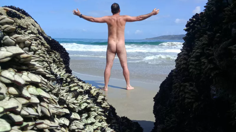 Barnacles are a perfect photo frame 😉 by nakedbodyworld