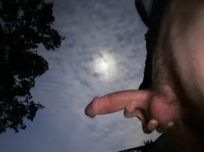 Basking in the moon light by jackmiles70