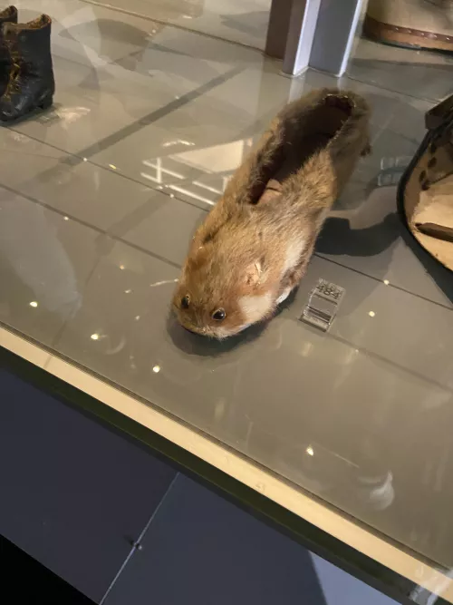 #bata #wtfisthis by kurxxxed_emeraldz