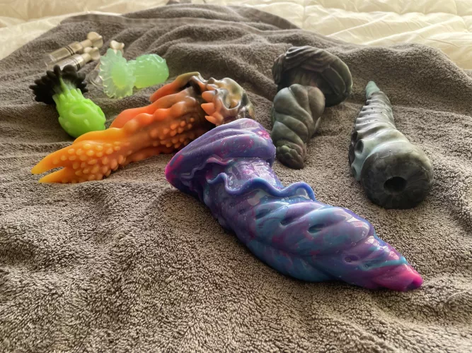 Bath day! by quinnthemagpie