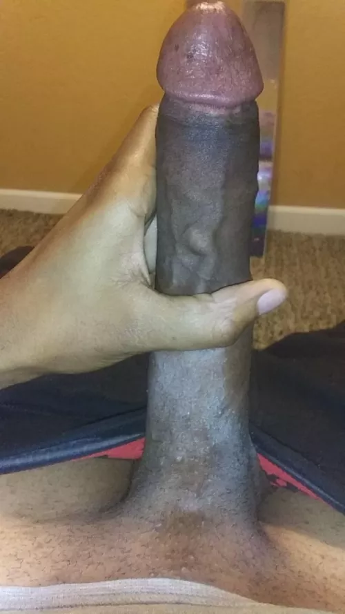 Bbc by 421_Big_taurean