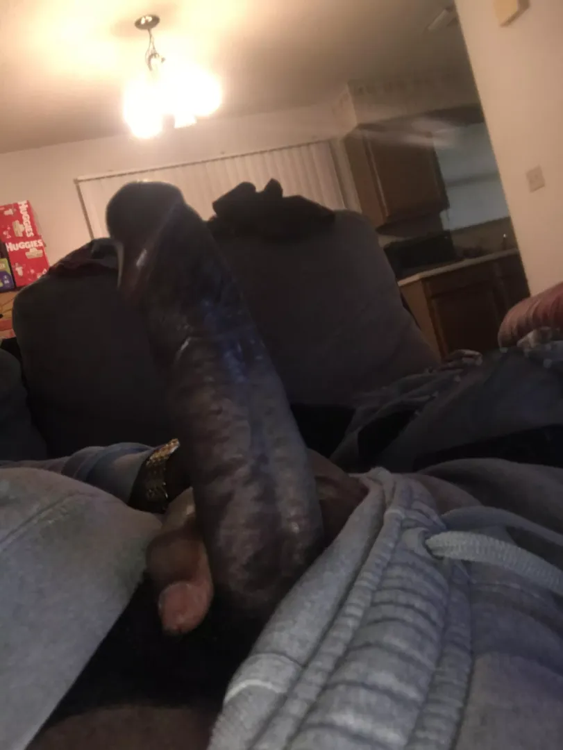 BBC lookin’ for a Florida MILF or PAWG to drain me. posted by Department_Heavy