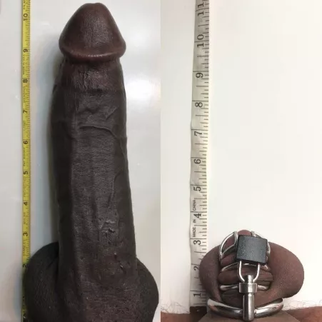 Bbc wins again and I am humiliated again. What’s new by d3122