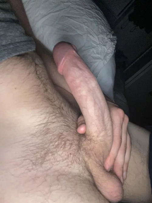 Be dishonest by Gold_Promotion_3743