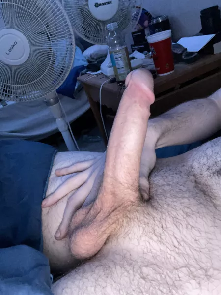 Be honest :) dms also open for anyone :) by Breakneck1995