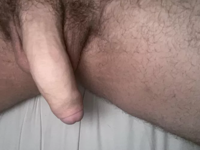 Be honest I can take it by Sure_Advance_5521