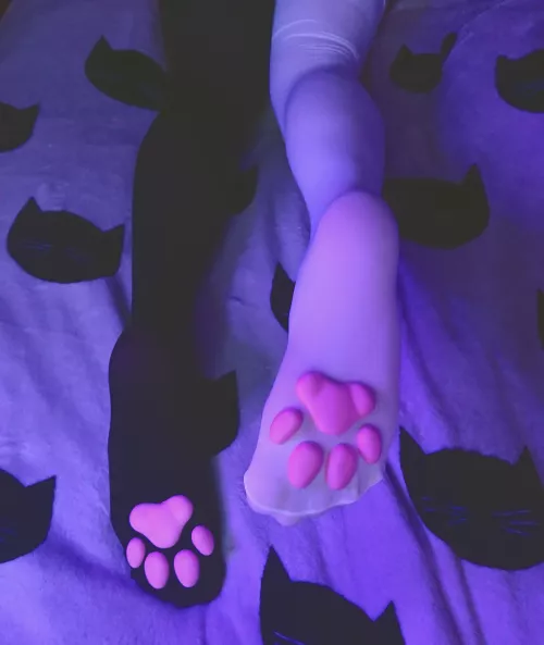 beans ^^ by catcranium