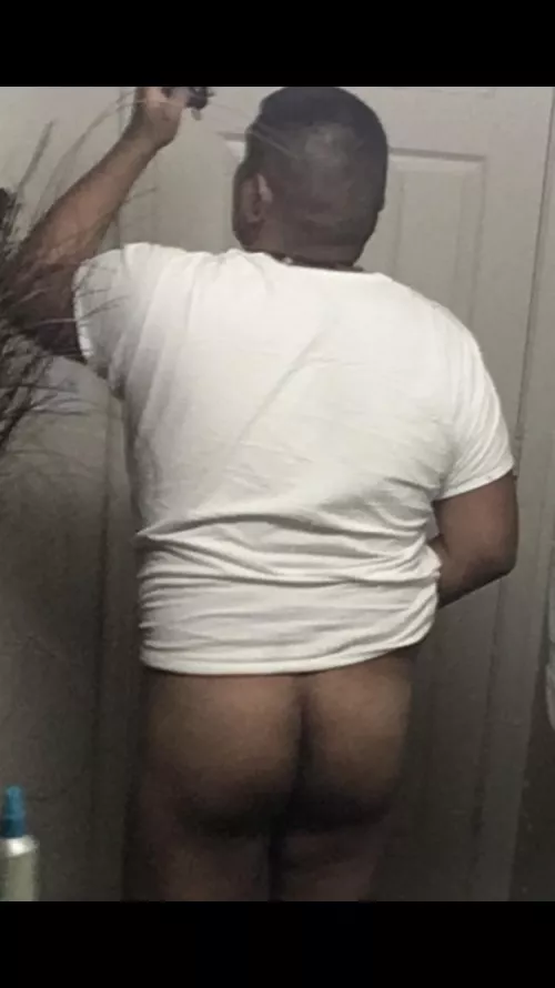 Bear ass. by atenjumea