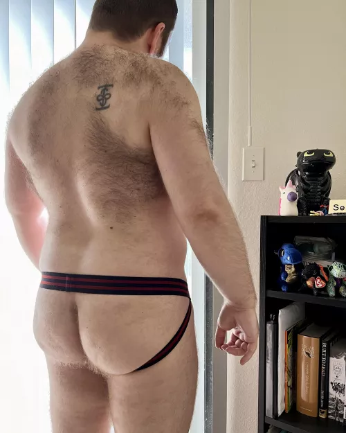 Bear Back 🐻🐷 by drttalk