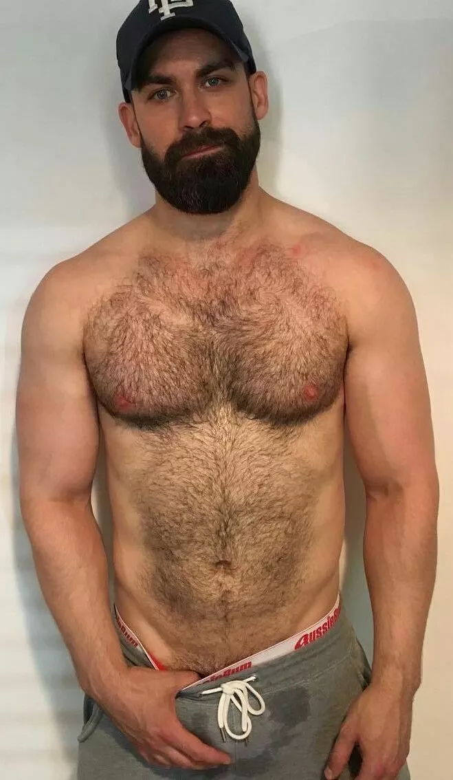 Bear Grab posted by menareamazing