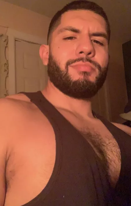 Bear mode by thirtylookingmf