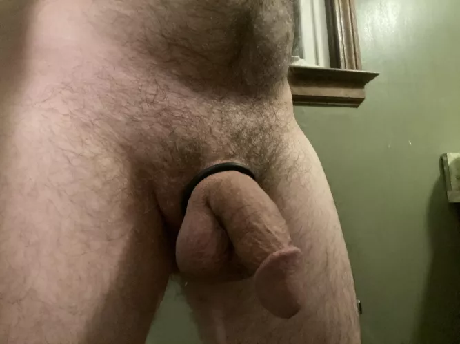 Bear or otter? 🤔 by bi_dad_ugh