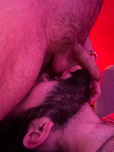 Beardy is in his happy place by Beardy-Fox