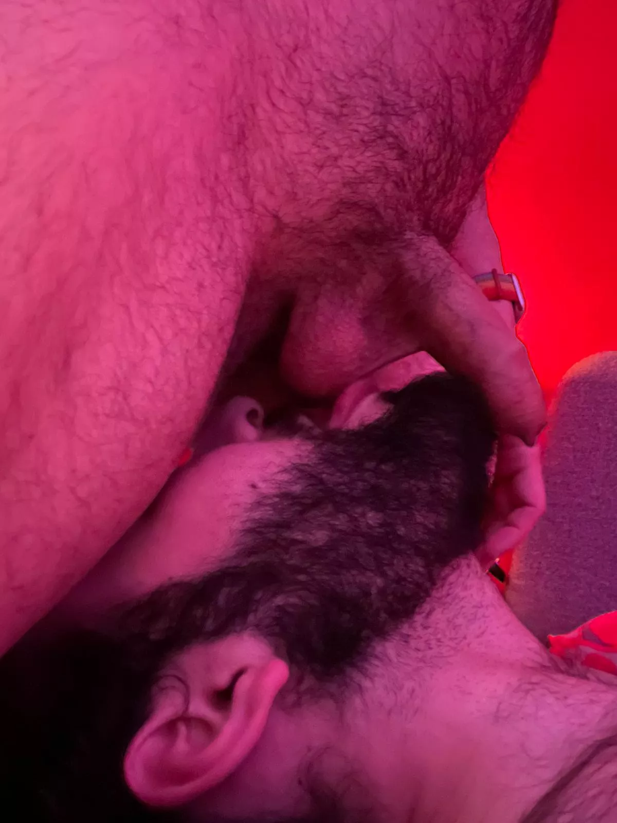 Beardy is in his happy place posted by Beardy-Fox