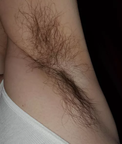 Beater pit by pm_me_hairy_cox