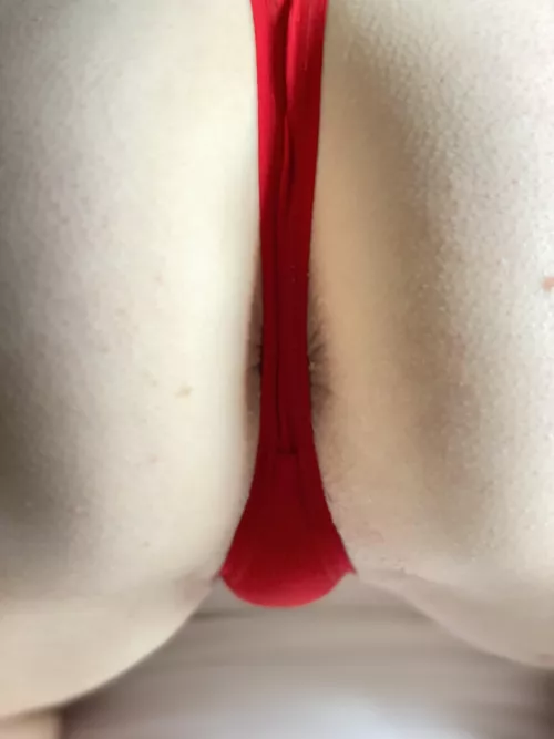 Beautiful contrast by DippingToes-N-H2O