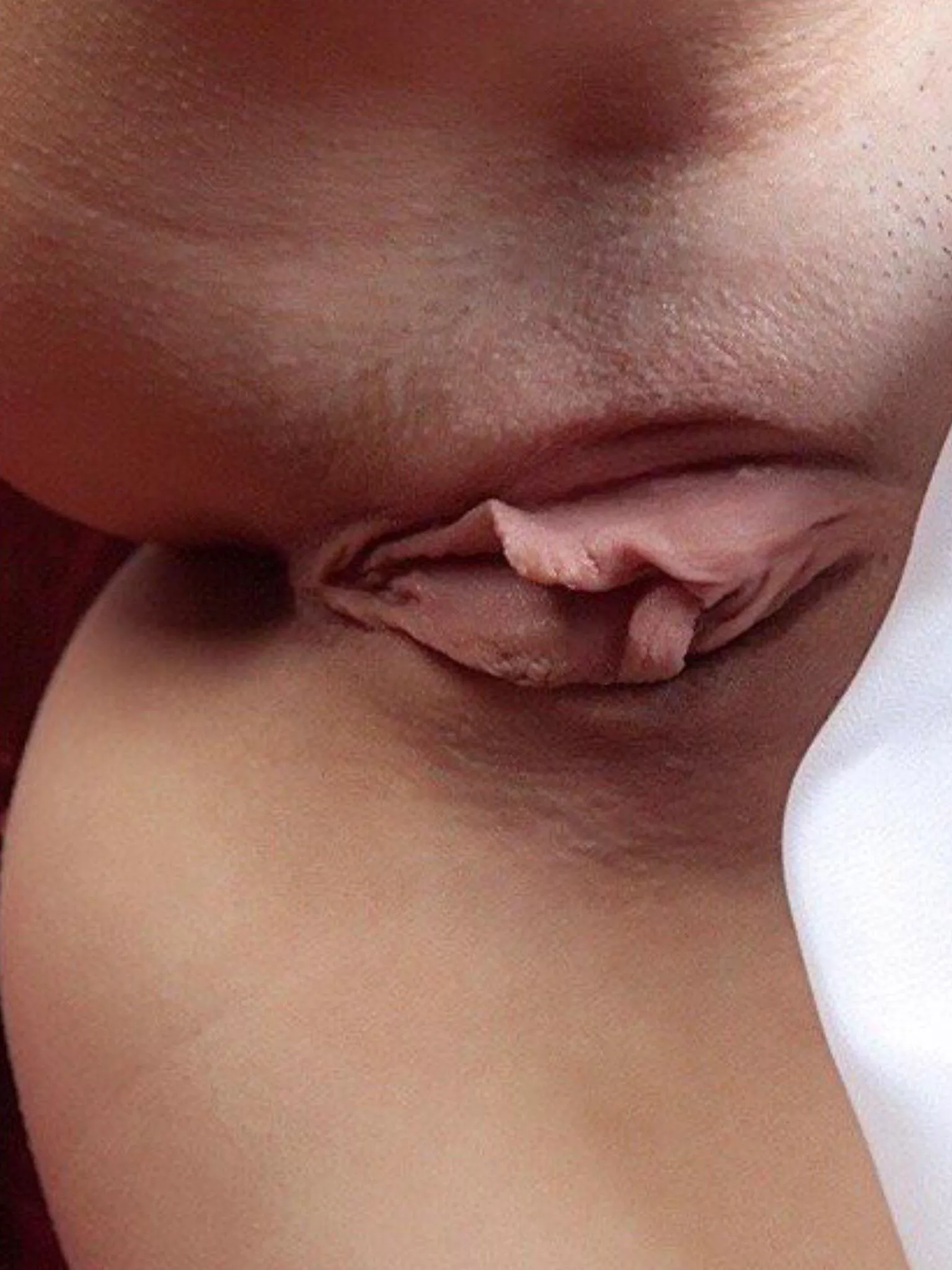 Beautiful fleshy perfection!! posted by Impossible_To_Resist