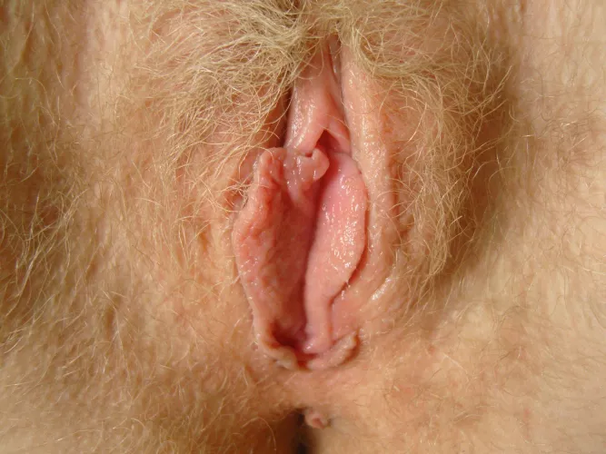 Beautiful hairy blond 👱‍♀️ by kylolenj