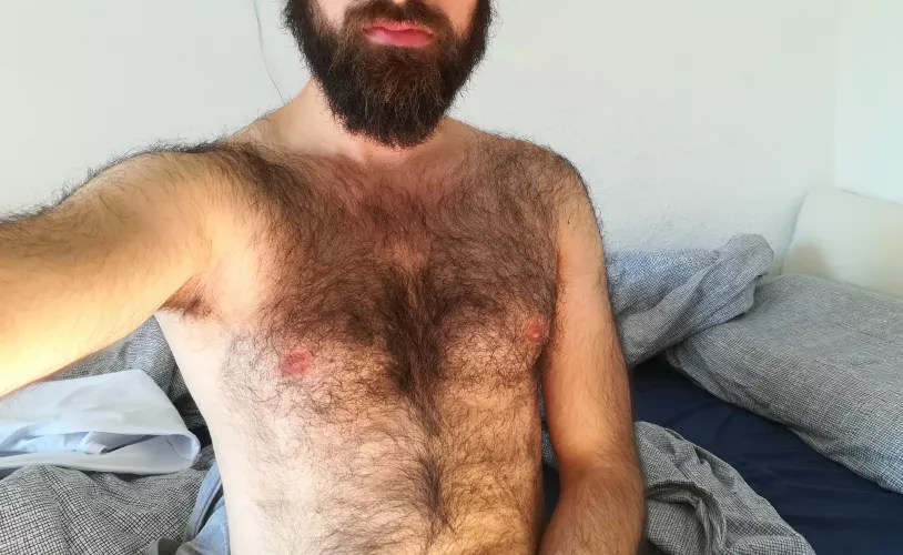 Beautiful morning light by Abdo91