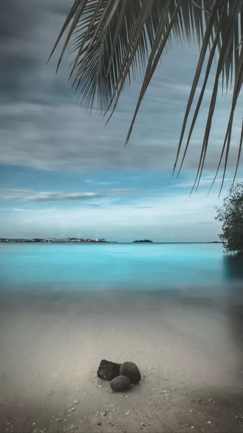 Beautiful summer 💛💙 by Lagan_Shahan