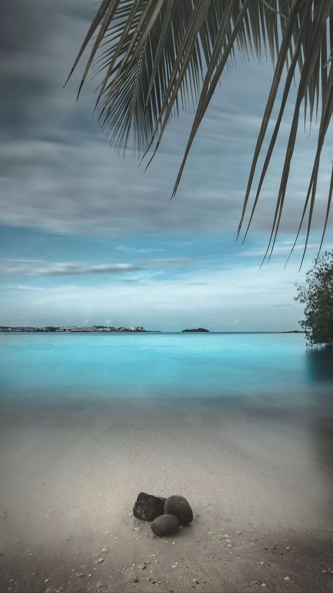 Beautiful summer 💛💙 posted by Lagan_Shahan