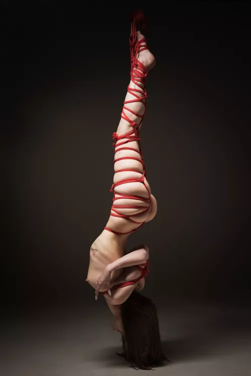 Beautifully tied by I_dont_porn_much