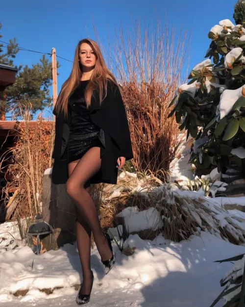 Beauty in the snow by jpx82