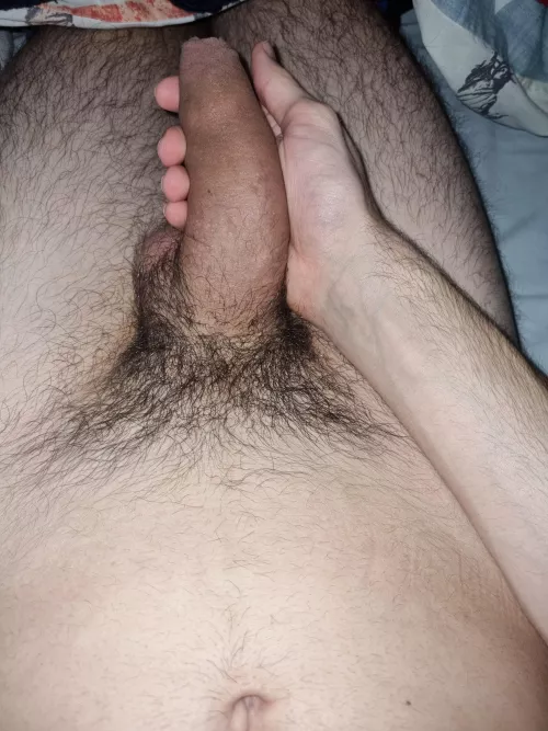 Bed time by hourhamster02