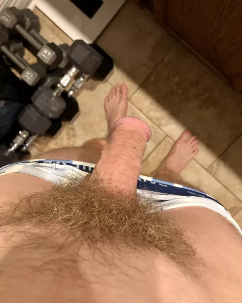 Bedtime bush by thebrainiak