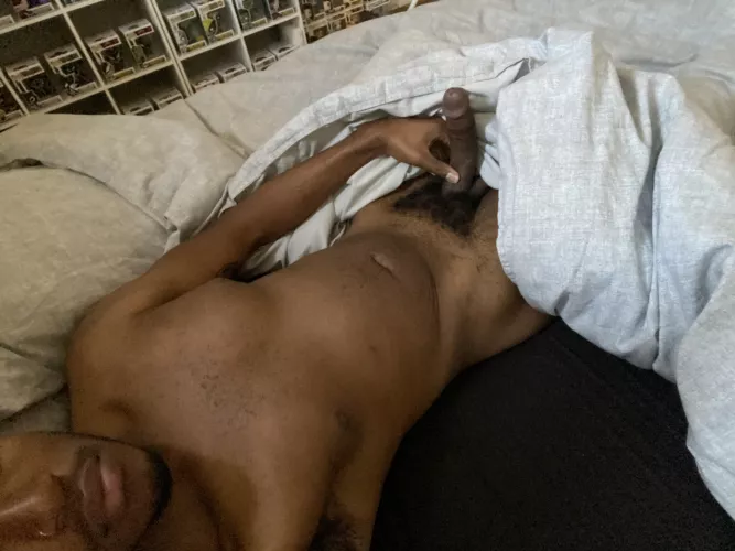 Bedtime in Virginia 😴 by PokemonShotgun