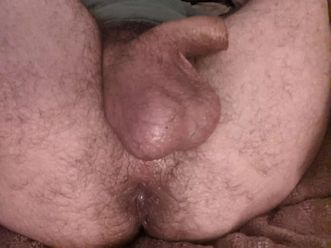 Bedtime snack by resolutionave