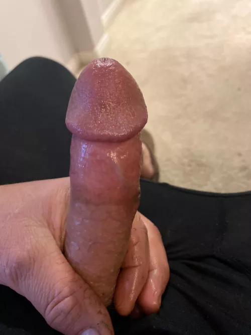 Been a few by Different_Cattle_390