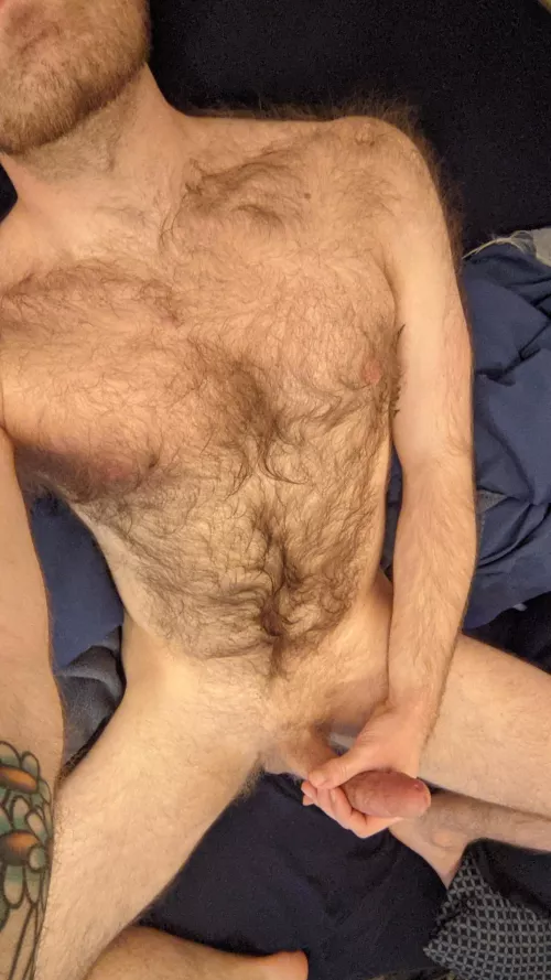 Been a while since I've posted. Would love to hear about someone getting on my cock... by Kissmystache1
