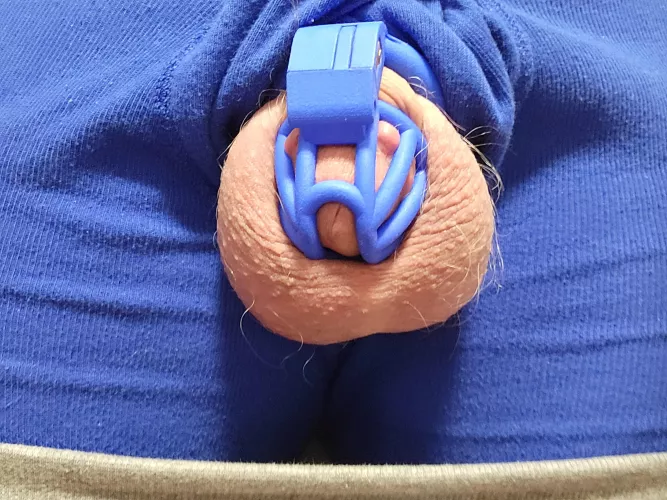 Been caged since Jan. You might as well just break my keys for me by Unfair-Shelter