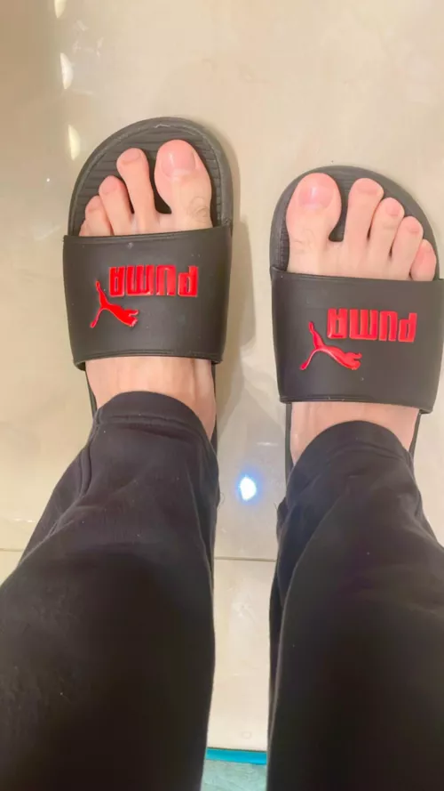 Been told they're pretty. What you think? by texan1916