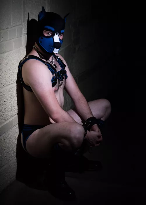 Been waiting for you all night, can we go home now? by Anxious_Pup