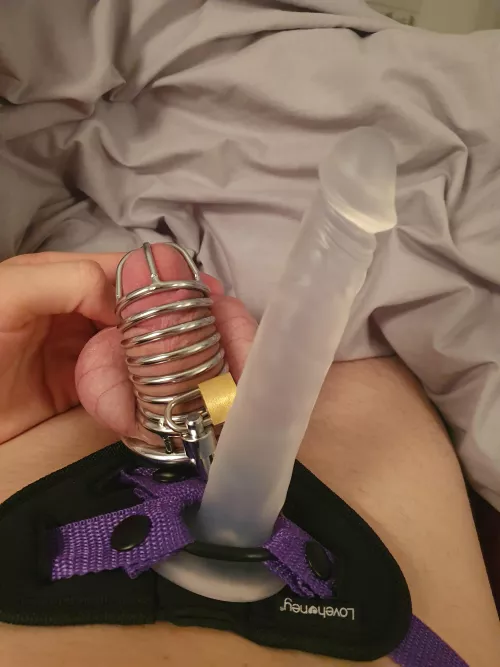 been waiting like this for 5 hours for her to come home by camperlife96