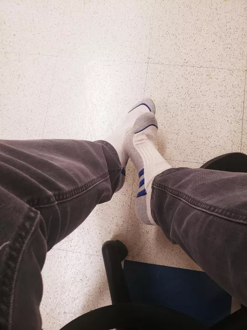 Been walking all morning. Had to let them out for a little bit. Who wants them? by Call-Me_Daddy100