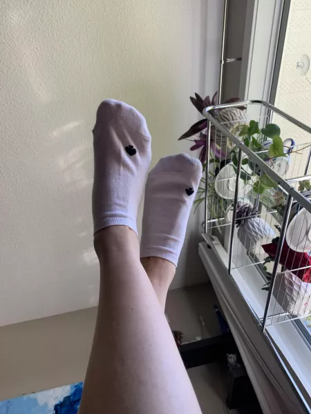 Been wearing these for days. Who wants to see the bottom? 😏 by onlyfeet_1234