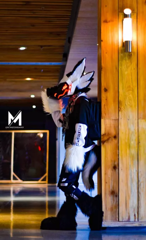 Beep boop, Itchy snoot. (Photography by ICM, Sona by me) by Dude_Verse